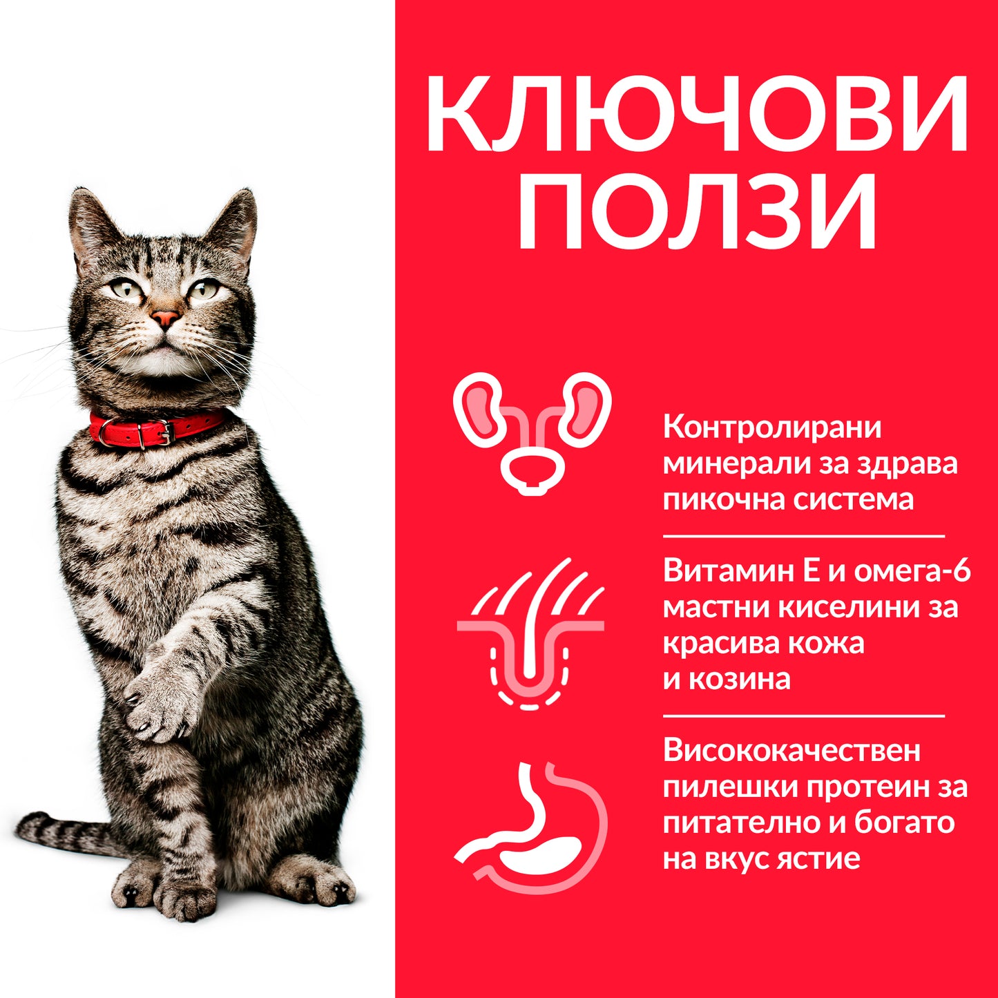 Hill’s - суха храна за котки за профилактика на уринарния тракт с пилешко