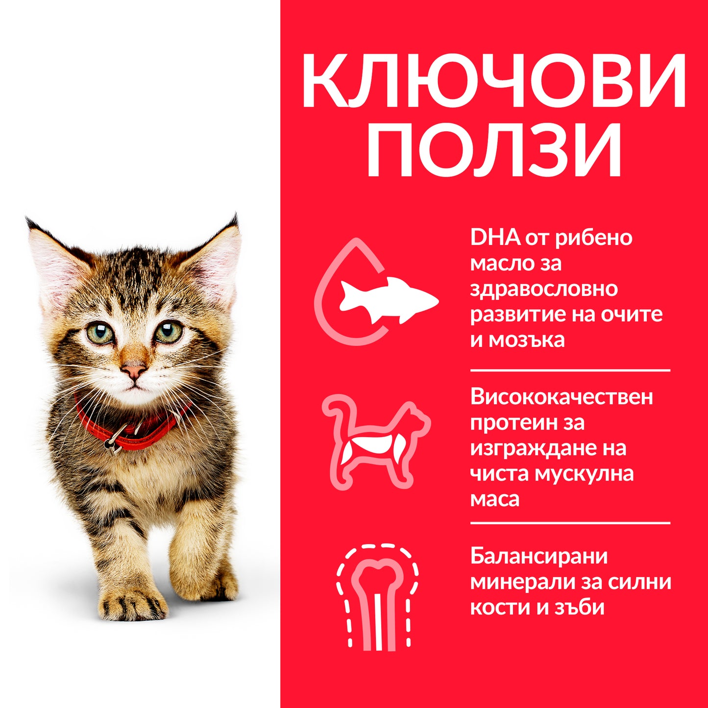 Hill’s - паучове за подрастващи котки с пуйка - 6 броя x 85 гр.
