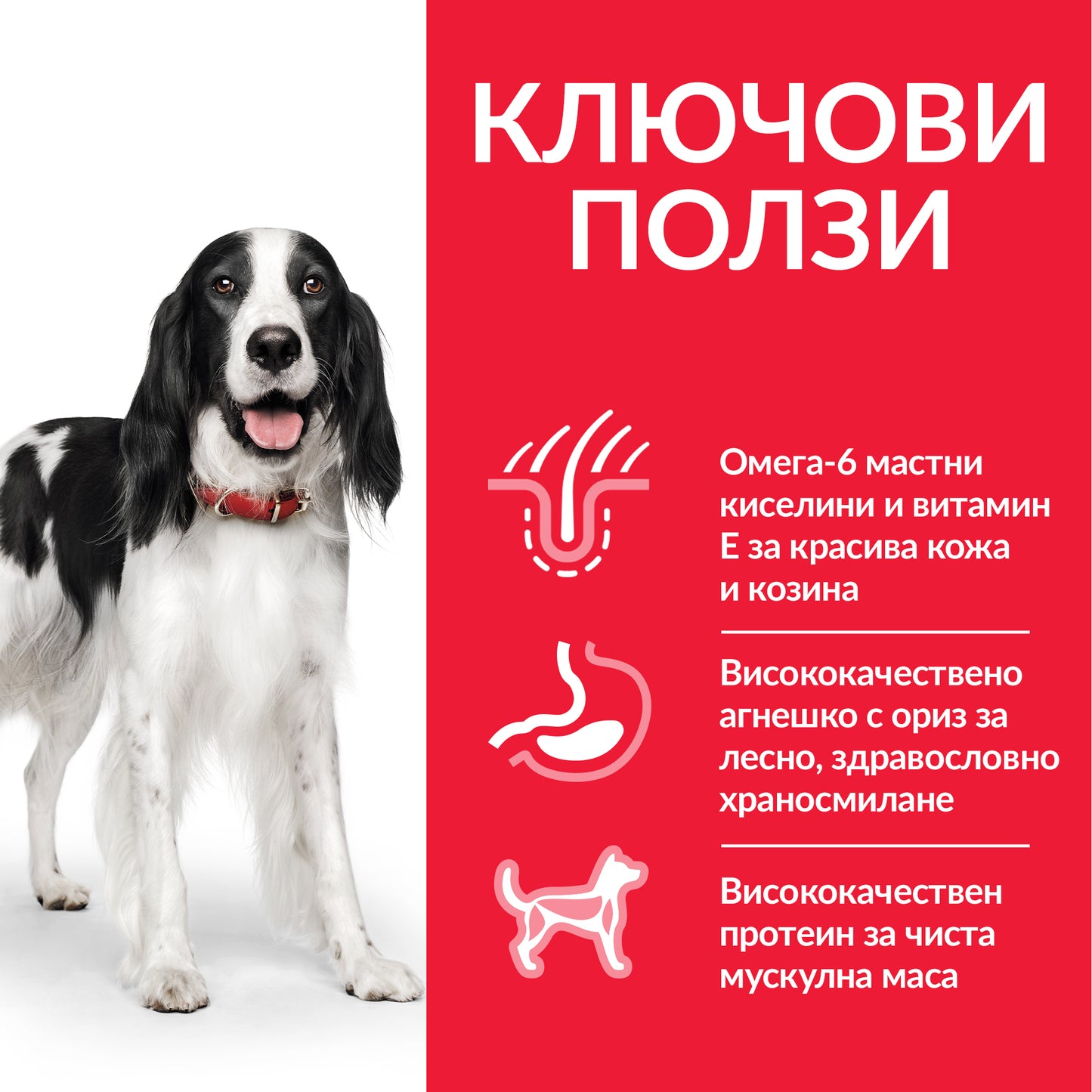 Hill’s - суха храна за кучета от средни породи с агнешко и ориз
