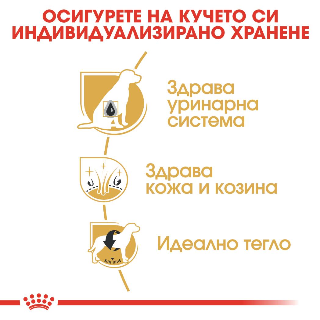 Royal Canin - суха храна за кучета от порода френска болонка - 1.5 кг.