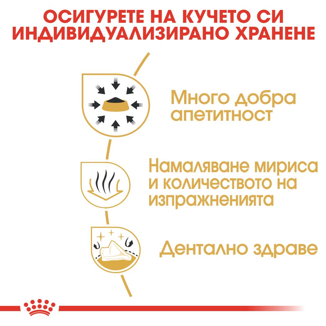 Royal Canin - суха храна за кучета от порода чихуахуа