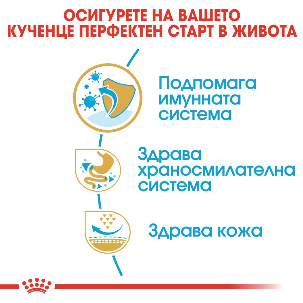Royal Canin - суха храна за подрастващи кучета от порода френски булдог - 3 кг.
