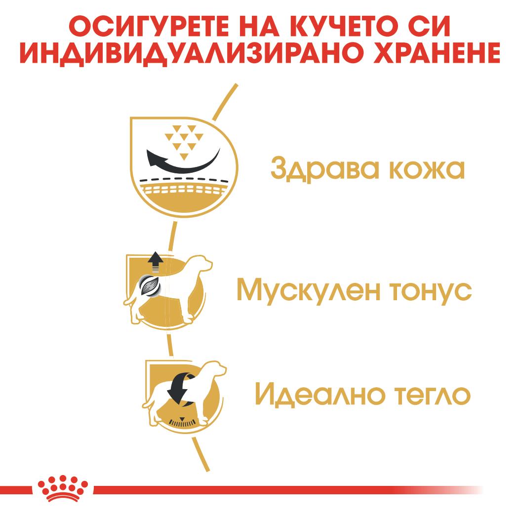 Royal Canin - суха храна за кучета от порода мопс - 1.5 кг.