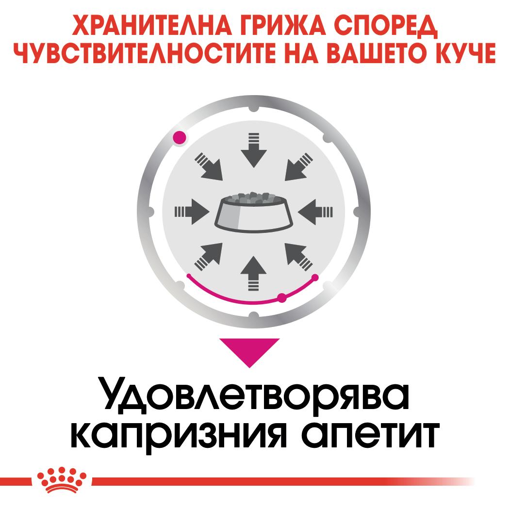 Royal Canin exigent - паучове за кучета - 12 броя x 85 гр.