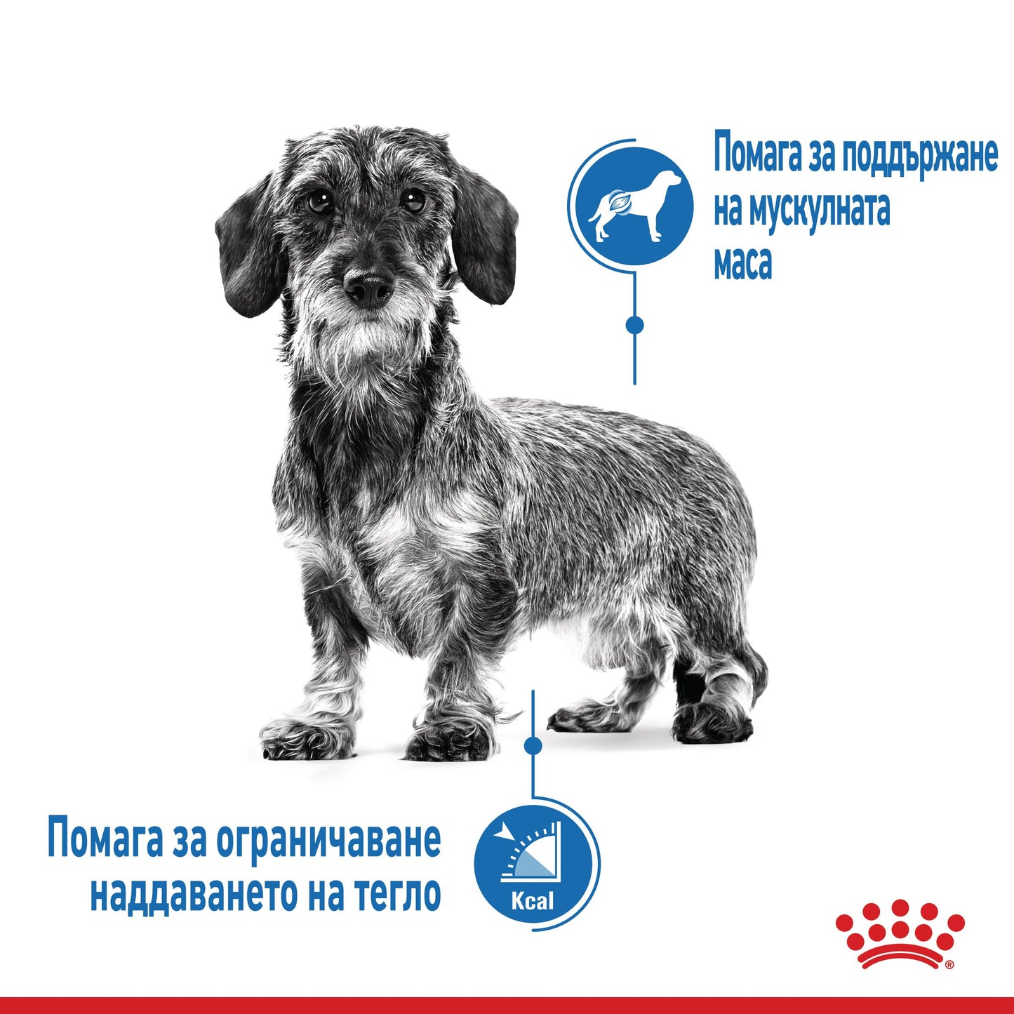 Royal Canin Mini Light Weight Care - суха храна за кучета