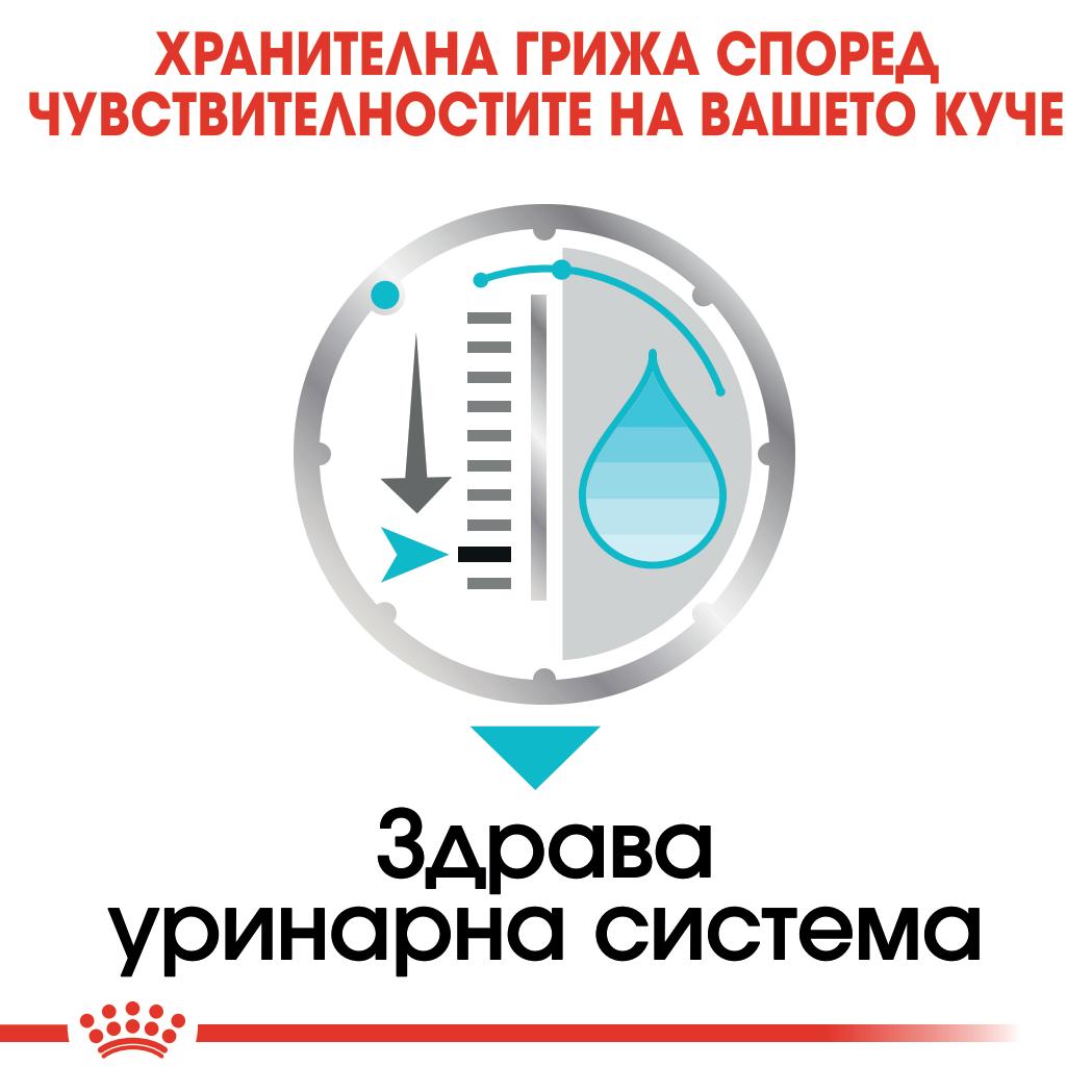 Royal Canin mini urinary - паучове за кучета - 12 броя x 85 гр.