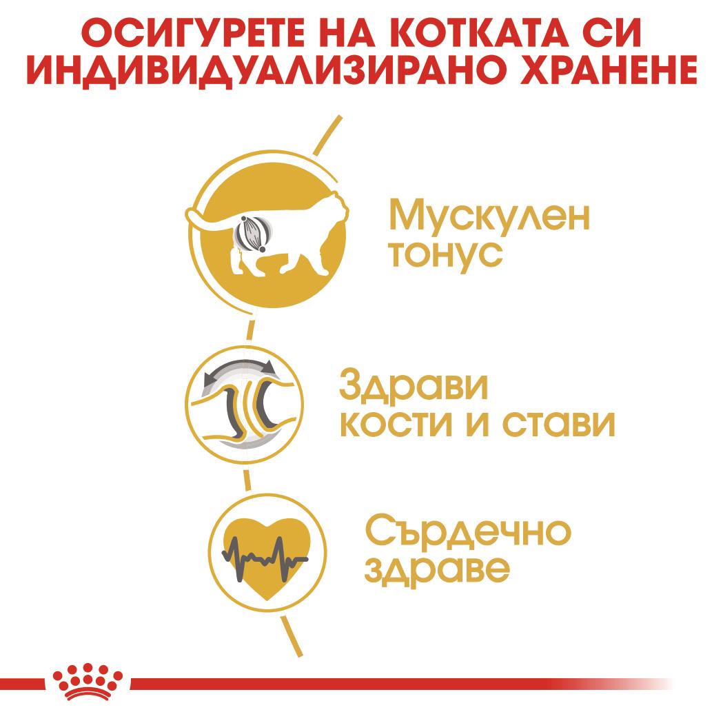 Royal Canin British Shorthair adult - Суха храна за котки