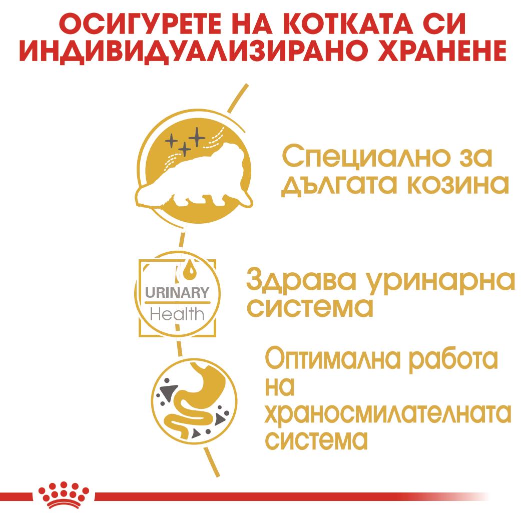 Royal Canin Persian - паучове за котки - 12 броя x 85 гр.