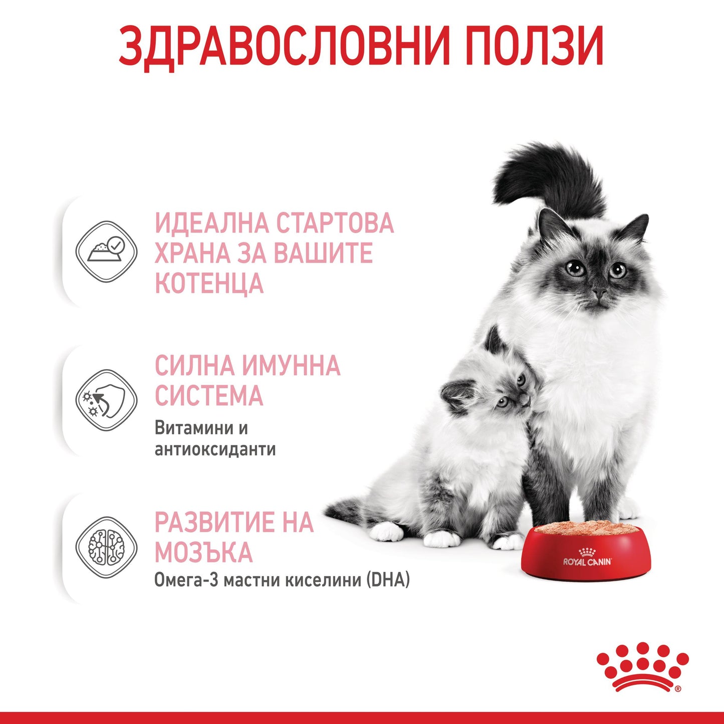 Royal Canin Mother & babycat - консервирана храна за котки - 6 броя x 195 гр.