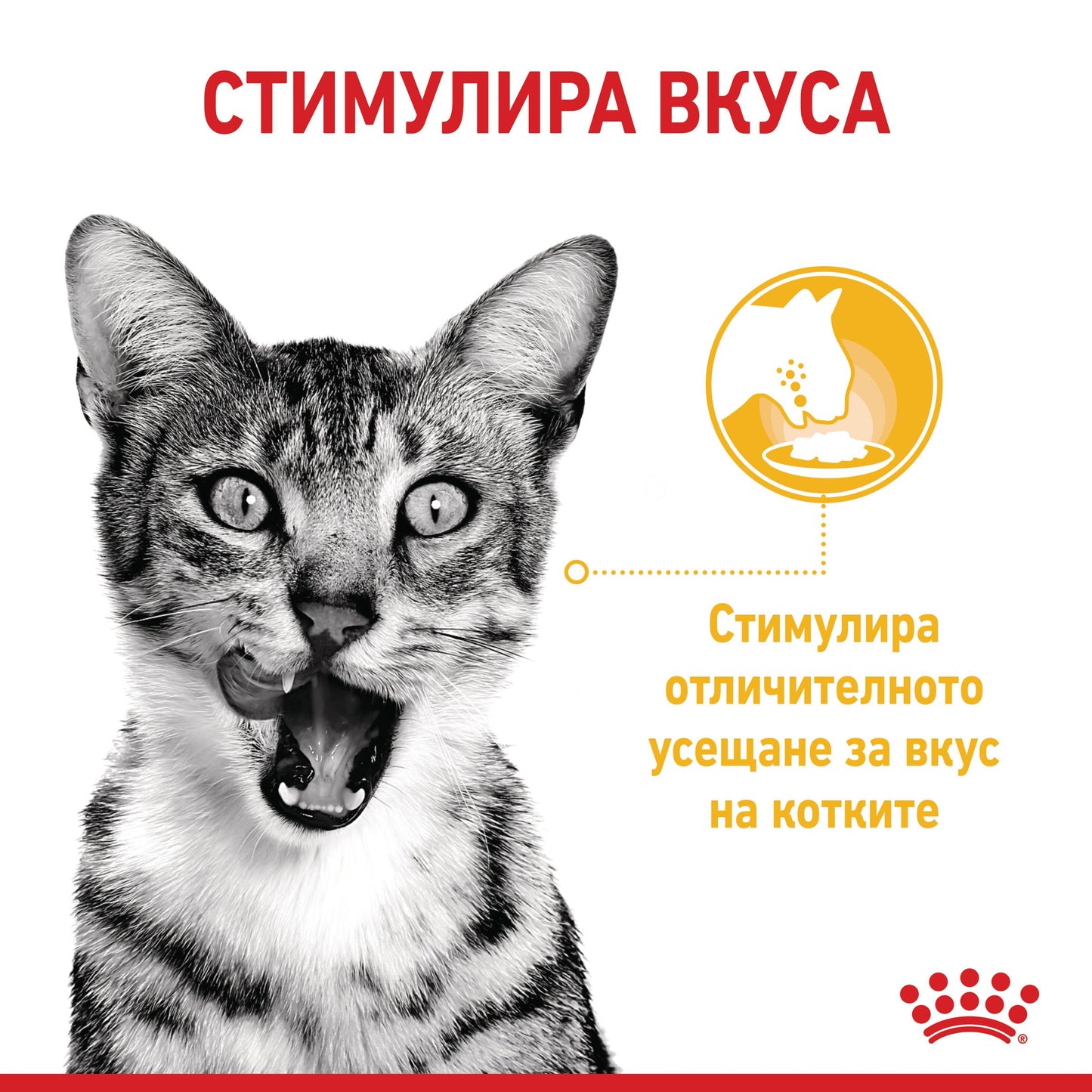 Royal Canin sensory taste gravy - паучове за котки - 12 броя x 85 гр.