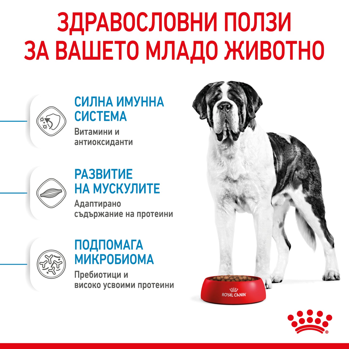 Royal Canin giant junior - суха храна за подрастващи кучета - 15 кг.