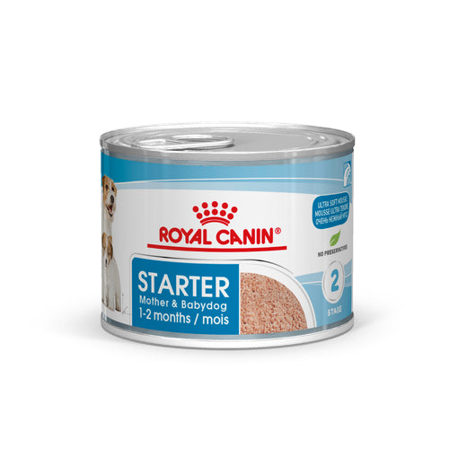 Royal Canin mini starter mousse - консервирана храна за подрастващи кучета - 6 броя x 195 гр.