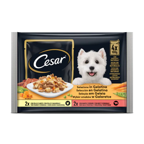 Cesar - паучове за кучета с пиле и говеждо в желе - 6 броя x 4x100 гр.
