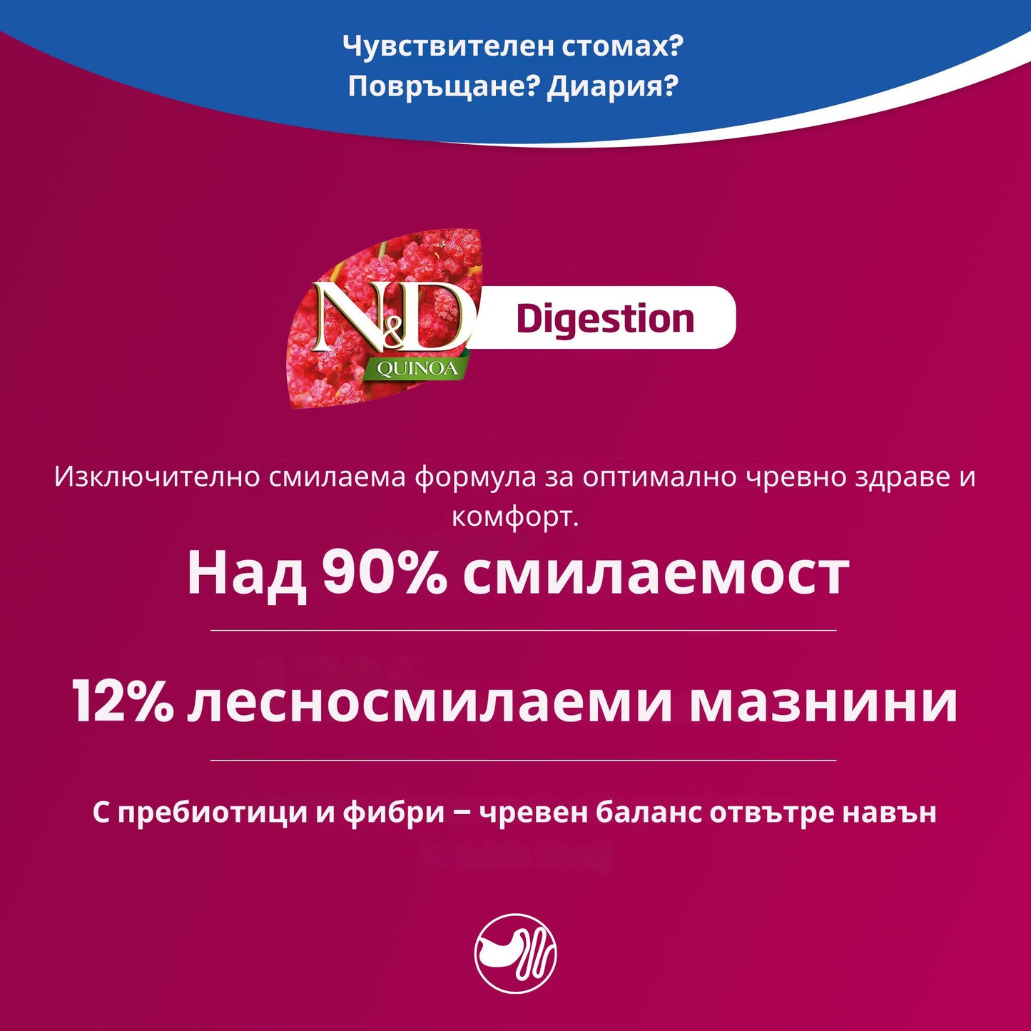 N&D Quinoa Digestion Adult Cat – мокра храна с агнешко, киноа, копър и артишок за възрастни котки - 6 броя x 70 гр.