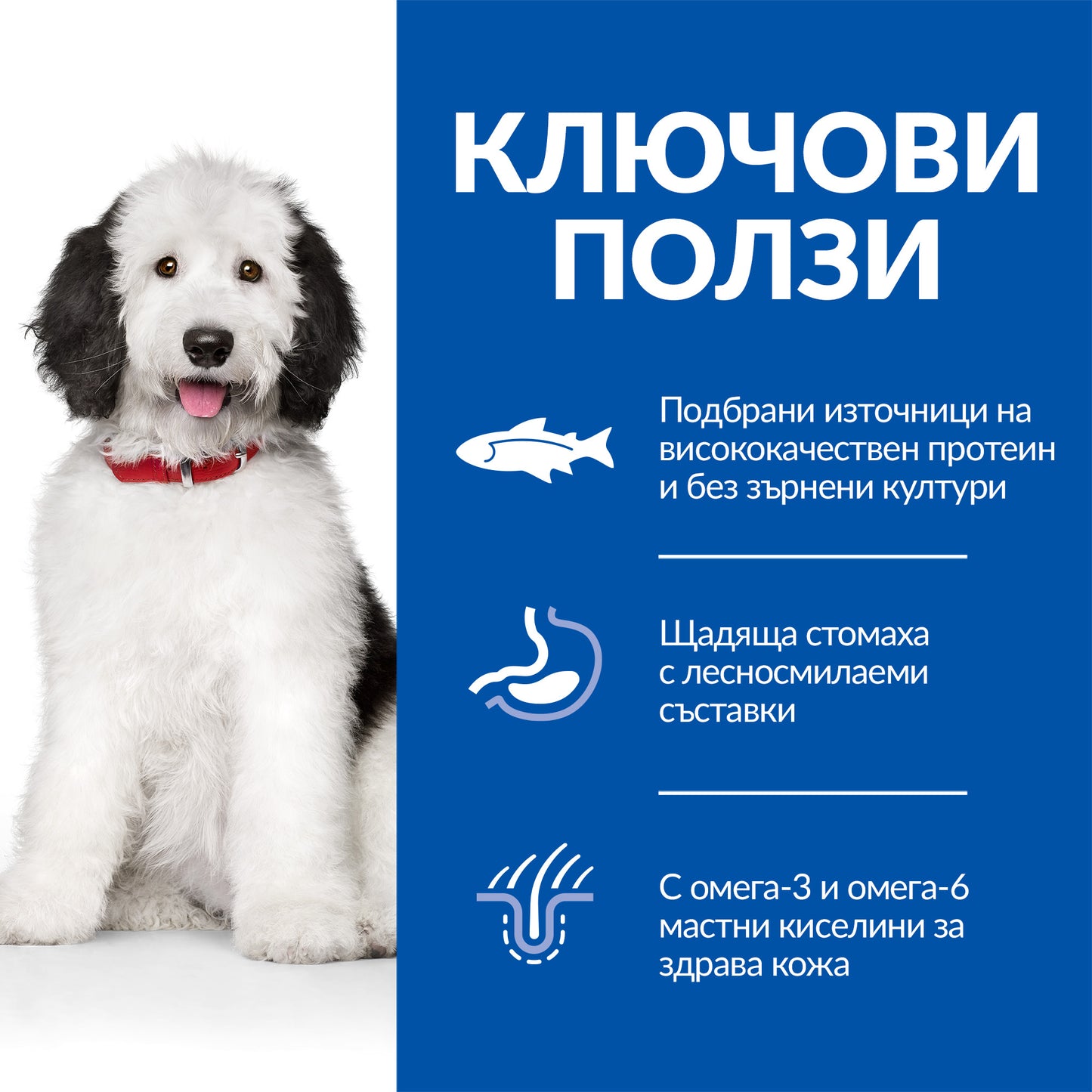 Hill’s - хипоалергенна суха храна за кучета от едри породи със сьомга - 12 кг.