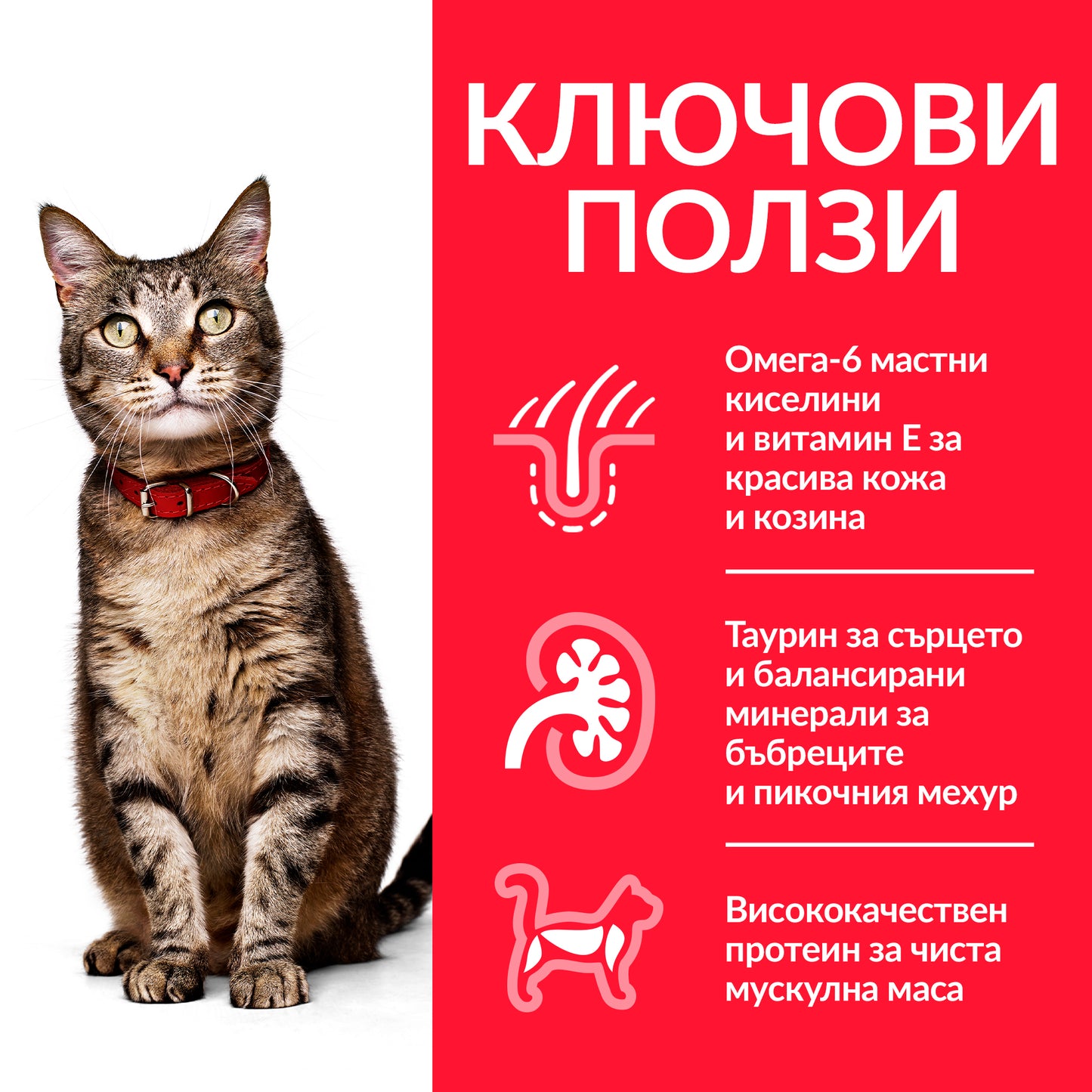 Hill’s - суха храна за котки с пиле