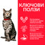 Hill’s - суха храна за котки за профилактика на уринарния тракт с пилешко