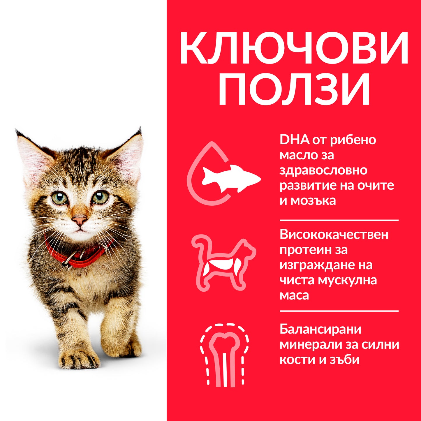Hill’s - суха храна за подрастващи котки с риба тон