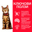 Hill’s - суха храна за котки склонни към напълняване с пилешко