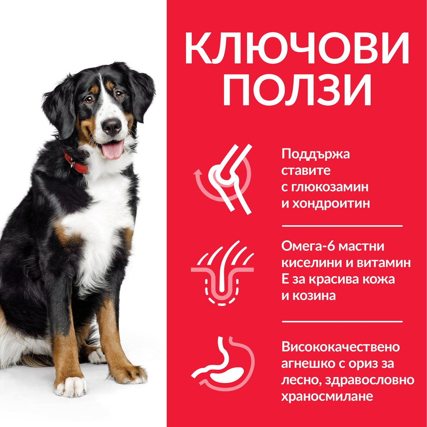 Hill’s - суха храна за кучета от едри породи с агнешко и ориз - 14 кг.