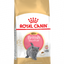 Royal Canin British Shorthair - суха храна за подрастващи котки