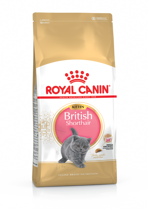Royal Canin British Shorthair - суха храна за подрастващи котки