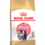 Royal Canin Persian - суха храна за подрастващи котки
