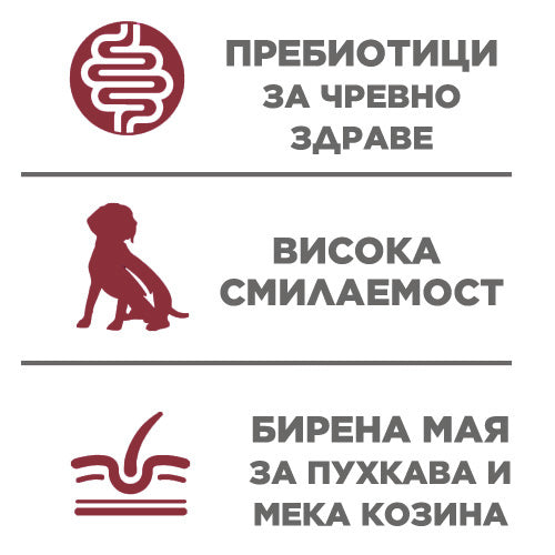 GEMON - суха храна за кучета с телешко и ориз - 15 кг.