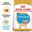 Royal Canin - суха храна за подрастващи кучета от порода чихуахуа