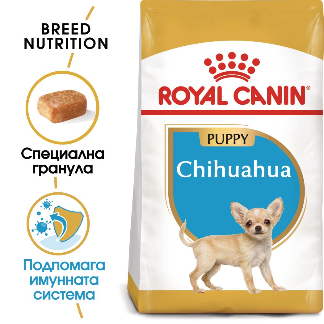 Royal Canin - суха храна за подрастващи кучета от порода чихуахуа