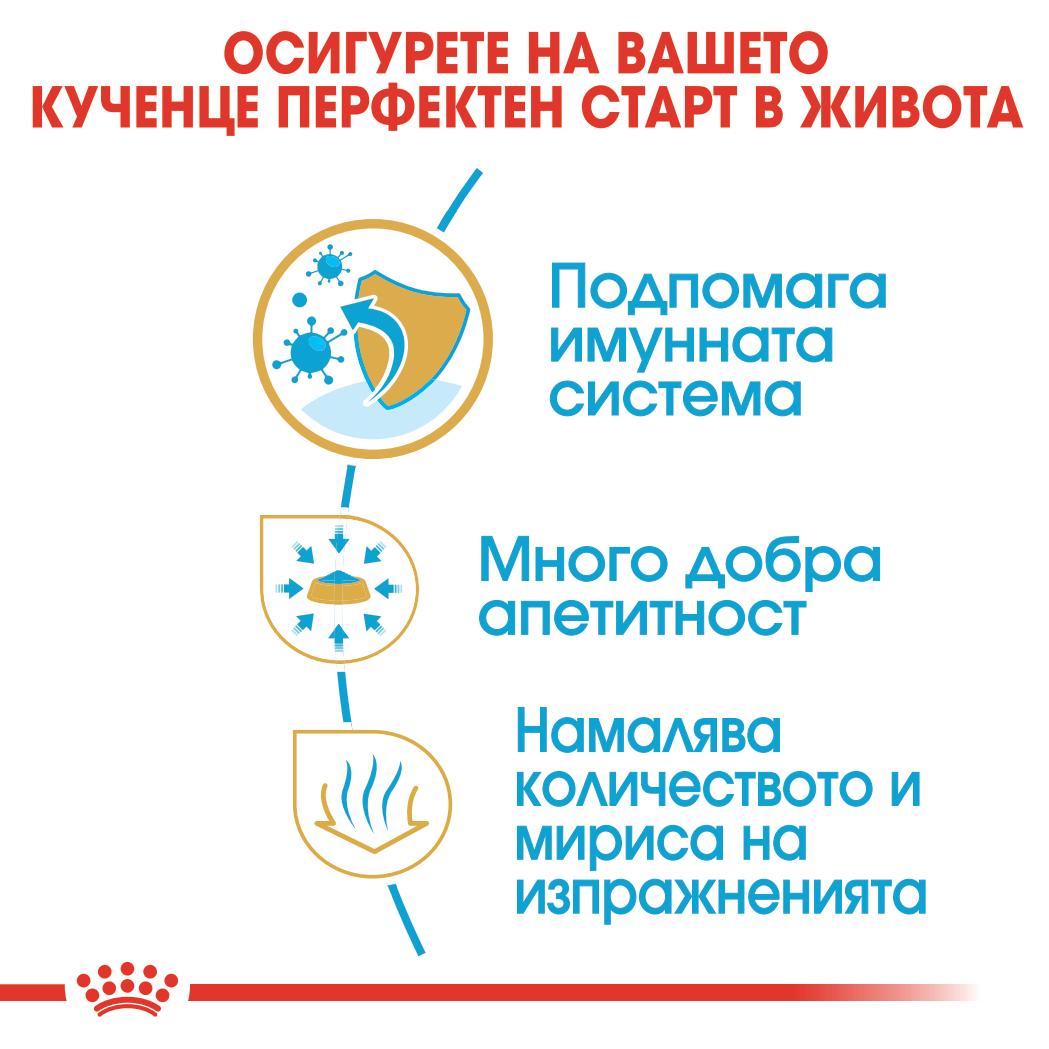 Royal Canin - суха храна за подрастващи кучета от порода чихуахуа