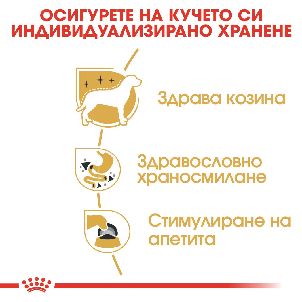 Royal Canin - паучове за кучета от порода чихуахуа - 12 броя x 85 гр.