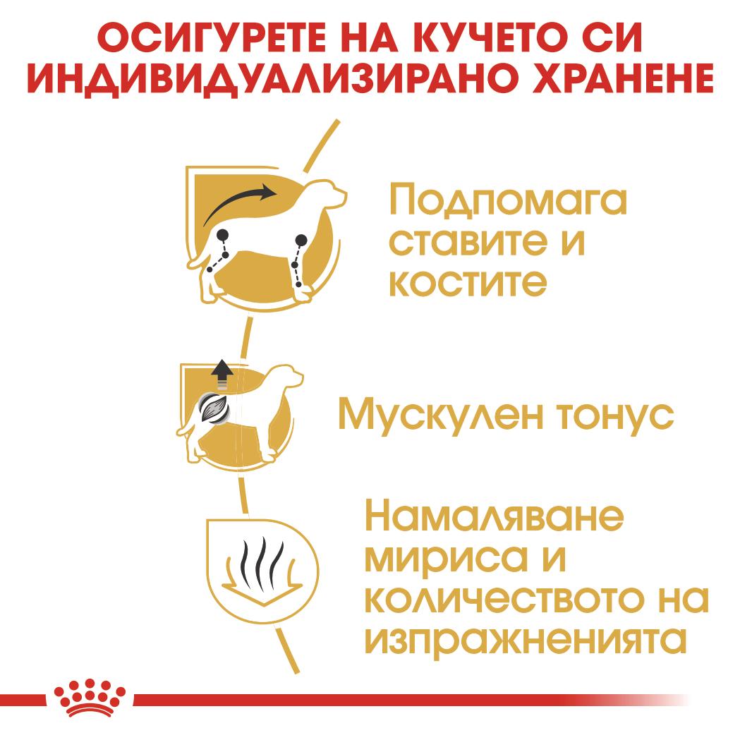 Royal Canin - суха храна за кучета от порода дакел