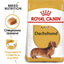 Royal Canin - суха храна за кучета от порода дакел