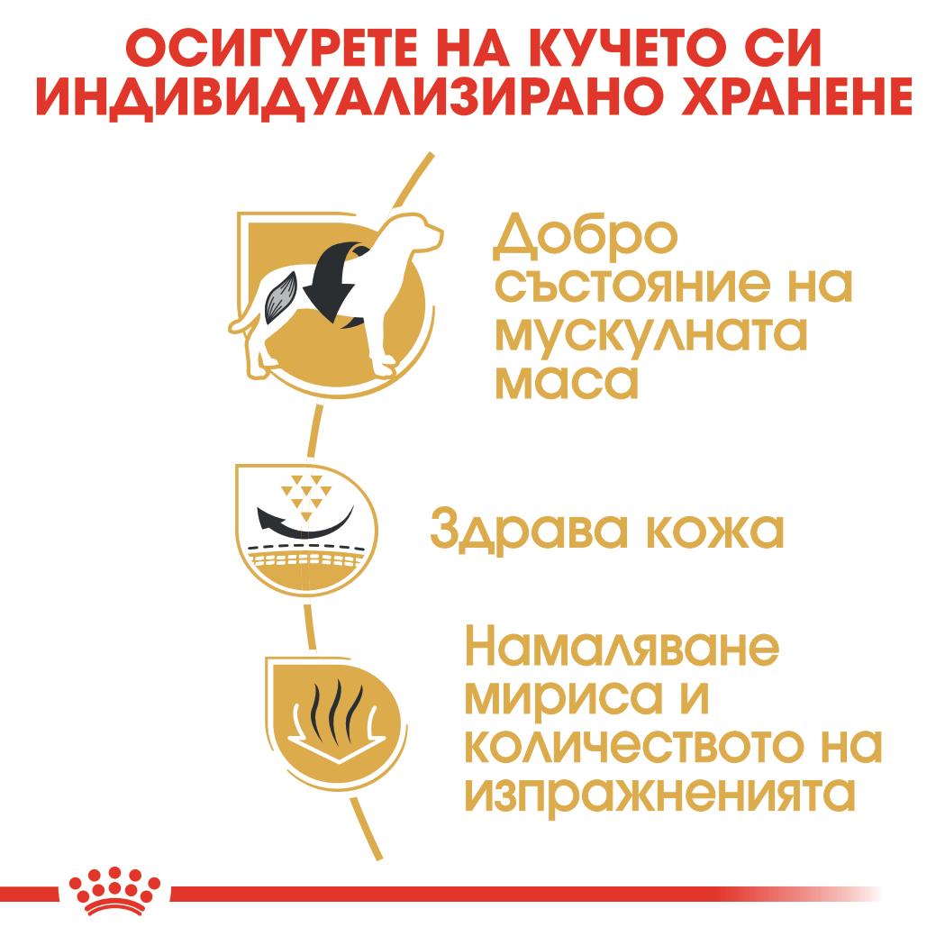 Royal Canin - суха храна за кучета от порода френски булдог - 3 кг.