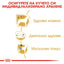 Royal Canin - суха храна за кучета от порода пудел - 1.5 кг.