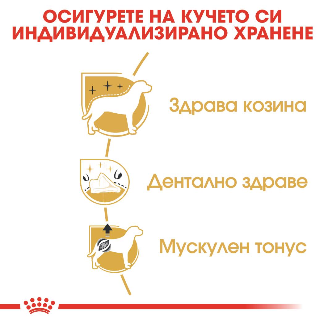 Royal Canin - суха храна за кучета от порода пудел - 1.5 кг.