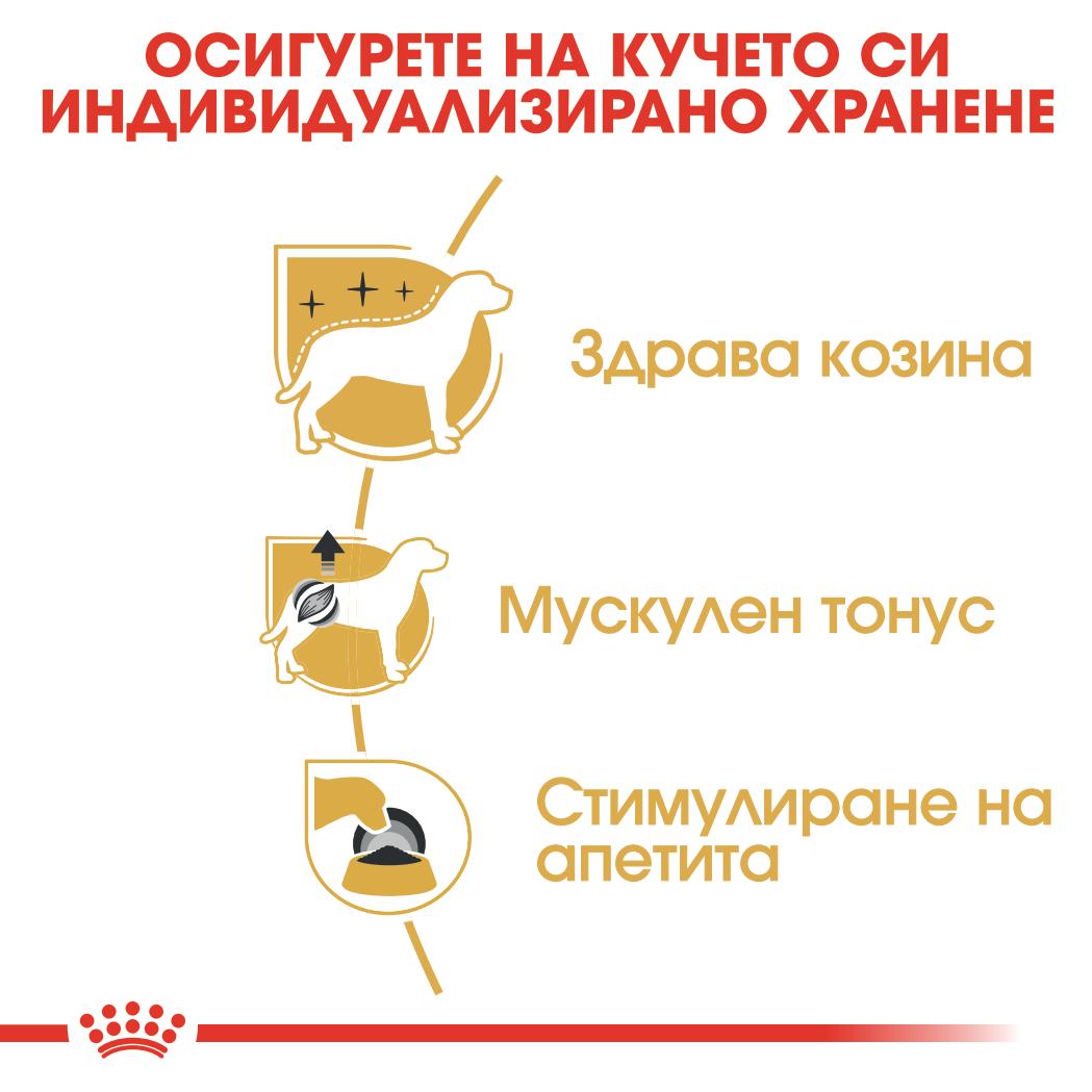 Royal Canin - паучове за кучета от порода пудел - 12 броя x 85 гр.