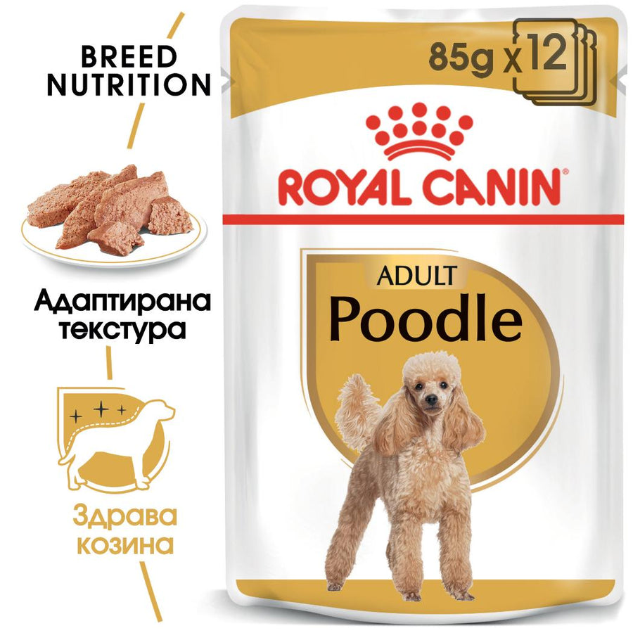 Royal Canin - паучове за кучета от порода пудел - 12 броя x 85 гр.