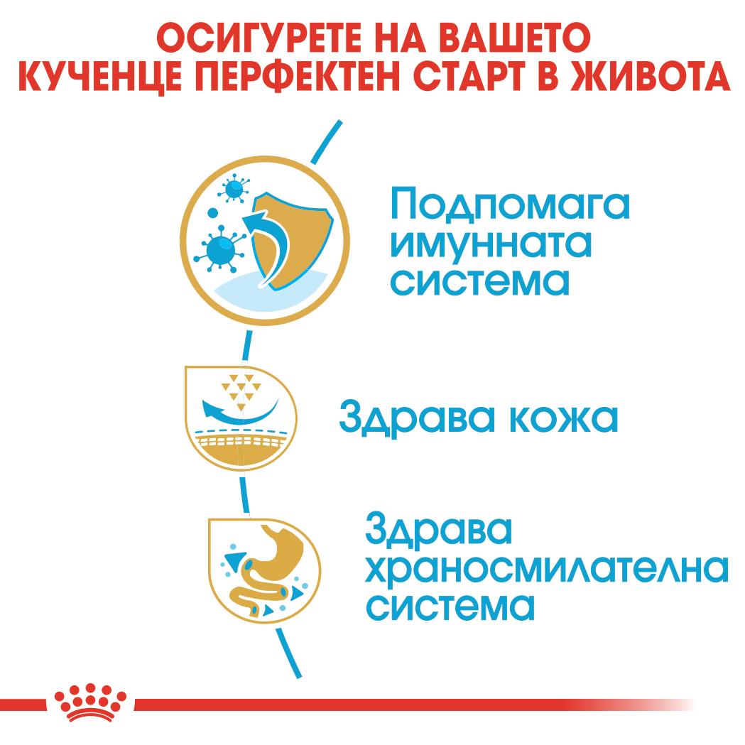 Royal Canin - суха храна за подрастващи кучета от порода мопс - 1.5 кг.