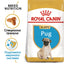 Royal Canin - суха храна за подрастващи кучета от порода мопс - 1.5 кг.