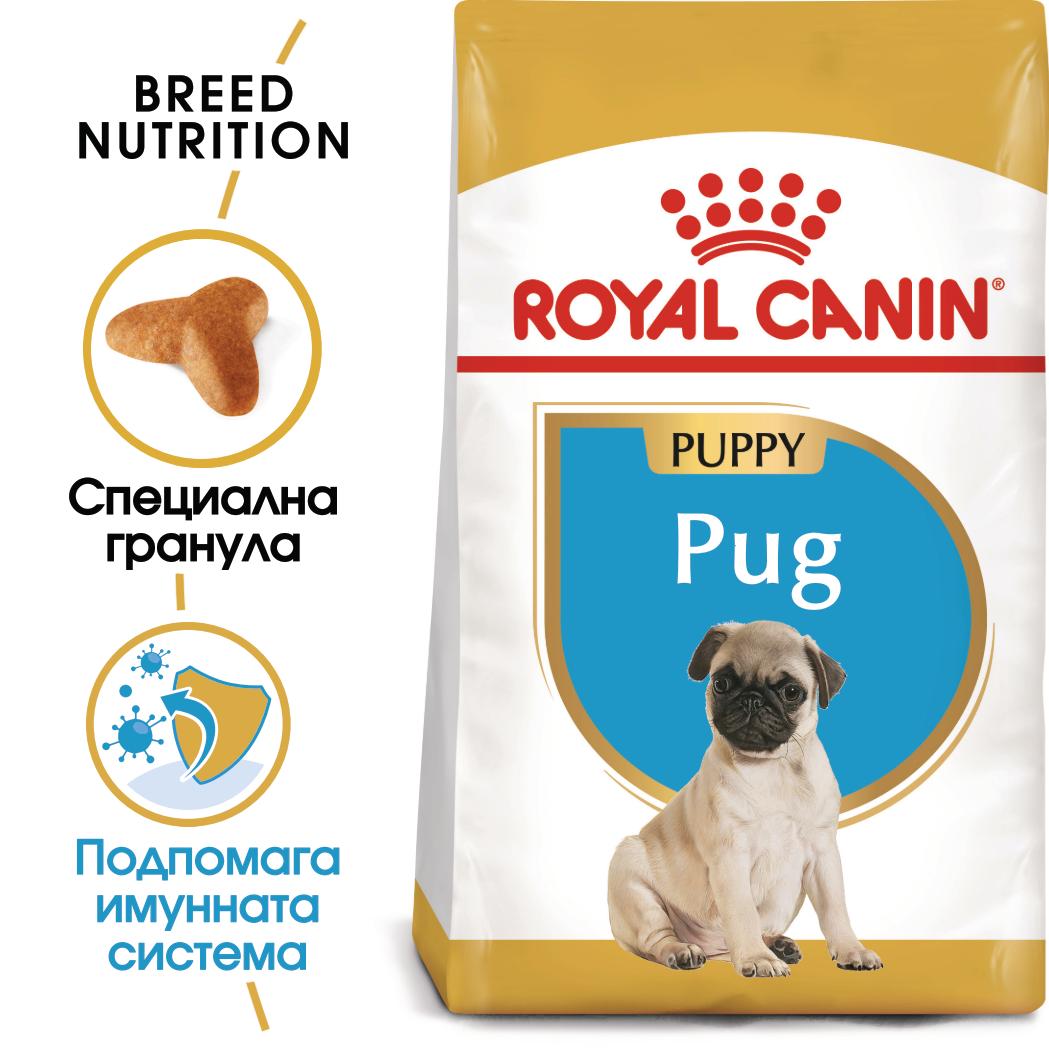 Royal Canin - суха храна за подрастващи кучета от порода мопс - 1.5 кг.