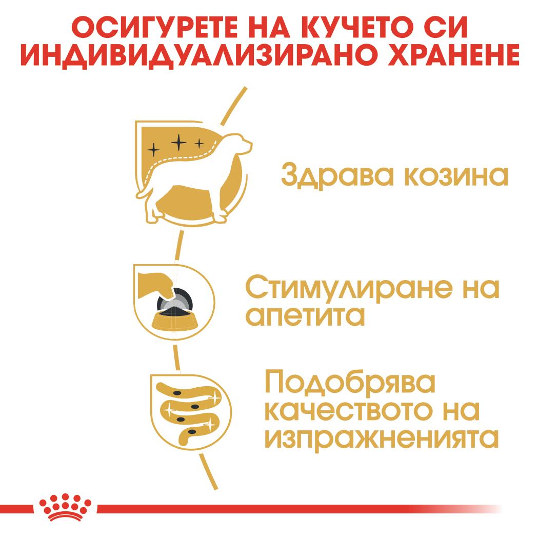 Royal Canin - паучове за кучета от порода йоркширски териер - 12 броя x 85 гр.