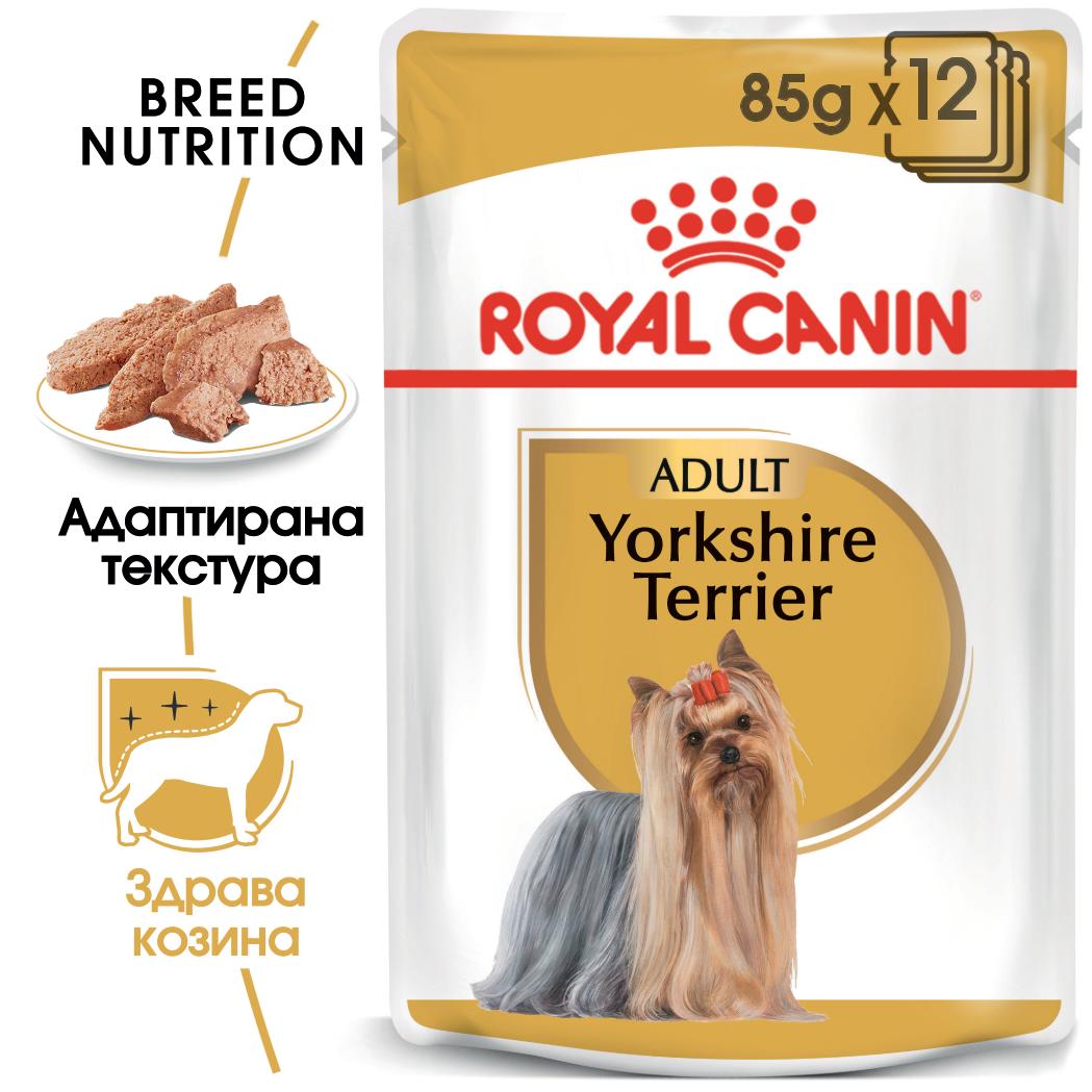 Royal Canin - паучове за кучета от порода йоркширски териер - 12 броя x 85 гр.