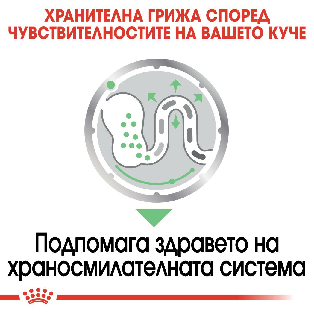 Royal Canin digestive care - паучове за кучета - 12 броя x 85 гр.