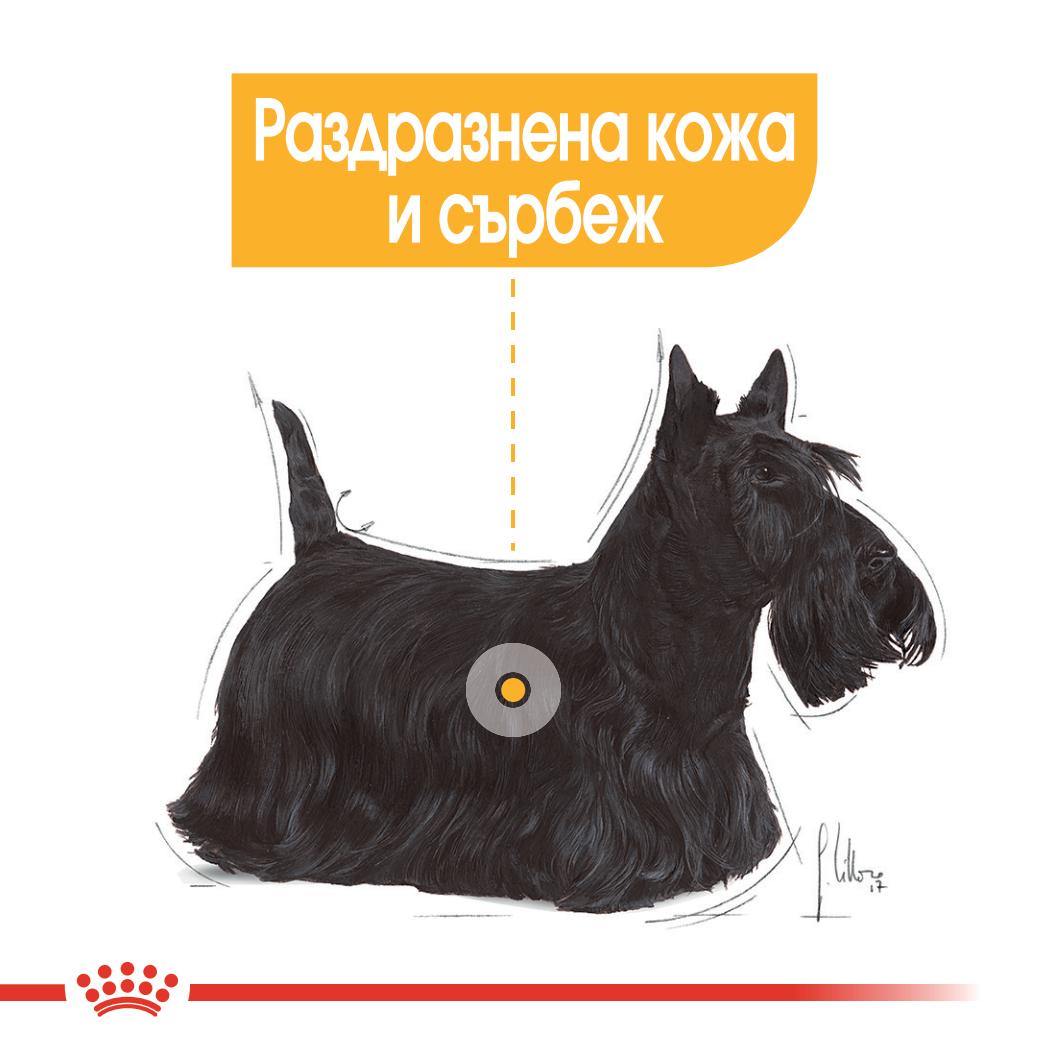 Royal Canin Mini dermacomfort - суха храна за кучета