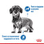 Royal Canin Mini Light Weight Care - суха храна за кучета