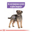 Royal Canin Mini Sterilised - суха храна за кучета
