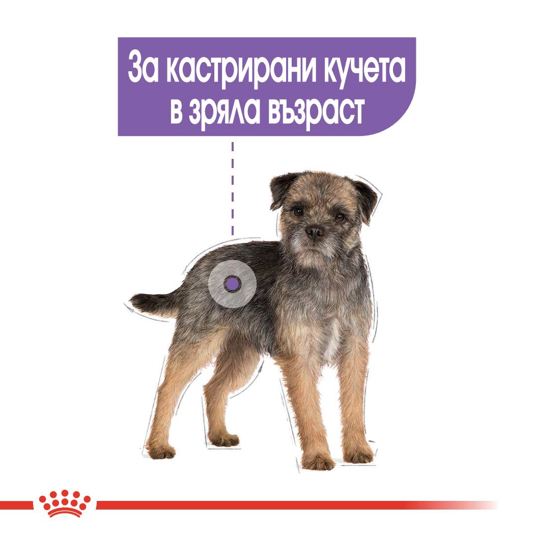Royal Canin Mini Sterilised - суха храна за кучета
