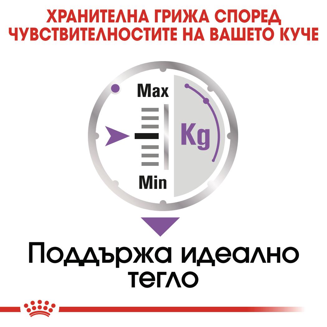 Royal Canin Mini Sterilised Adult - паучове за кучета - 12 броя x 85 гр.